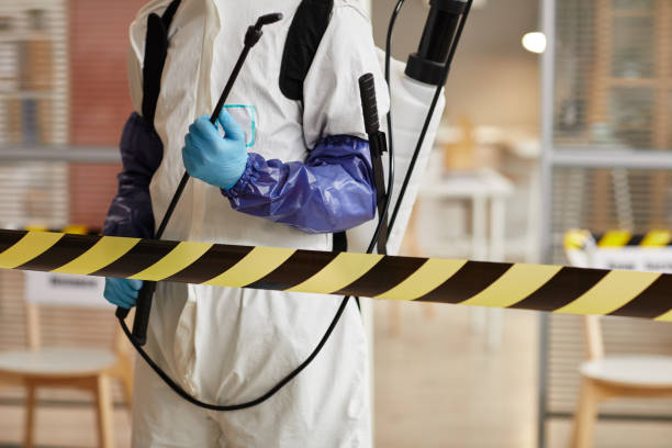 Professional Hoarding Cleanup technician working in Modoc, IL